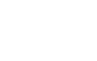 electrode shiraz logo